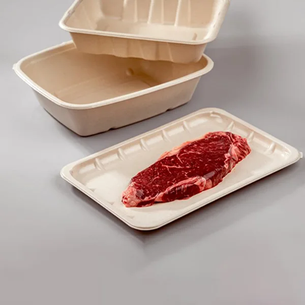 Factory Cheap Disposable Sugarcane Bagasse Tableware Biodegradable Fast Food Meal Meat Tray for Lunch