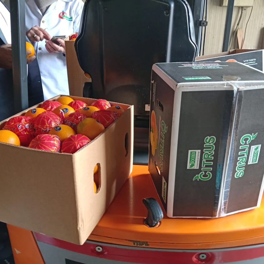 Высококачественный Мальта оранжевый из египта