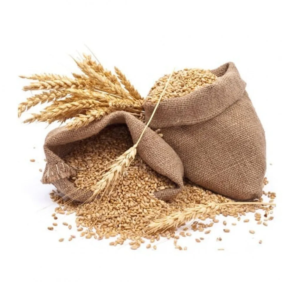 High Quality Soft Milling Wheat / Wheat Grain For Animal and Human Feed