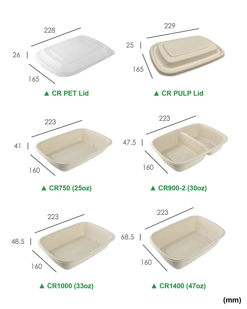 1000ml rectangular biodegradable disposable food container custom printed lid