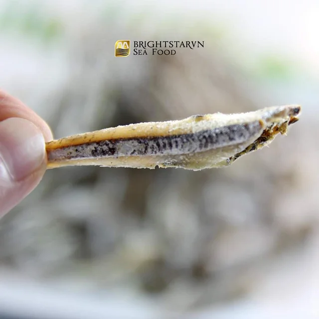 Dried Lizard Fish - Seafood