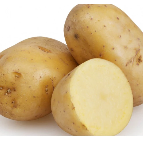 2020 New Cultivation Fresh Yellow Skin Potato from Bangladesh in Wholesale Price