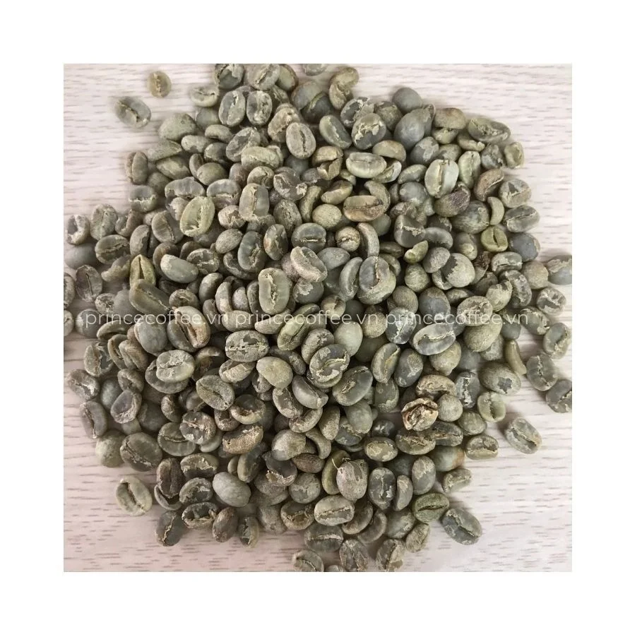 Оптовая продажа вьетнамские кофейные зерна Arabica Robusta зеленые высококачественные
