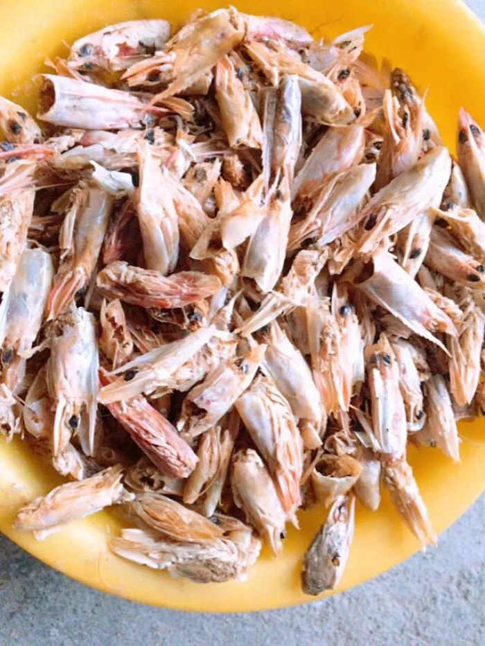 
DRIED SHRIMP SHELL & SHRIMP POWDER FOR ANIMAL FEED - HIGH QUALITY 