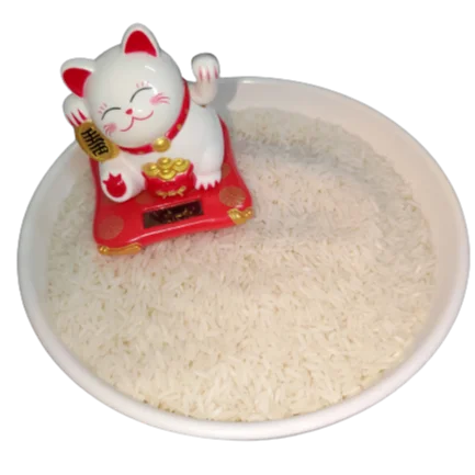 Premium Fragrant Rice ST 25 - Best Quality Affordable Rice