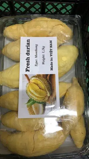 High Quality Fresh Durian For Export  Vietnam Fresh Durian Fruit Origin Type High Grade Good Price Best Taste Durians
