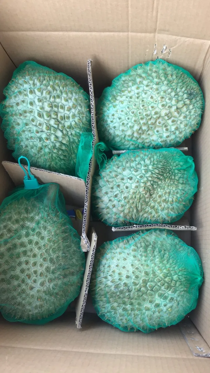 FROZEN  MONTHONG DURIAN top quality / +84963818434 w