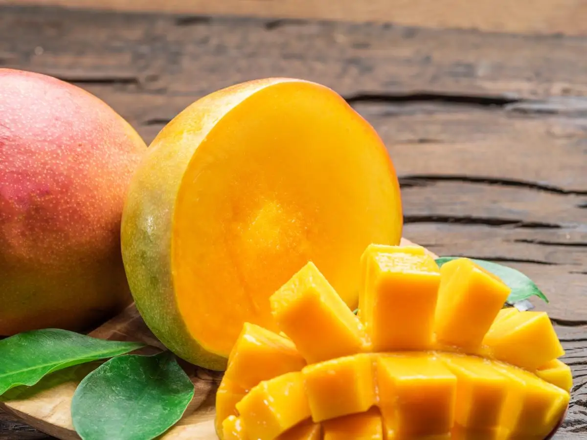 Best Quality Alphanso kesar totapuri banganpalli mango pulp Wholesale Mangos Fruit Sweet Pulp Green Tropical Mango Style