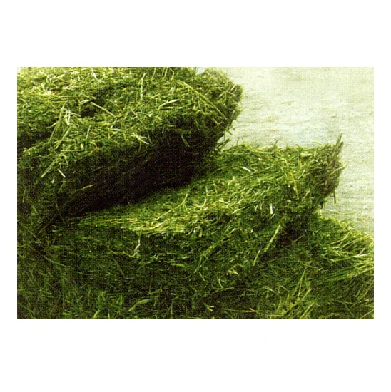 Hot Selling Price Of Alfalfa Hay Bales in Bulk Quantity