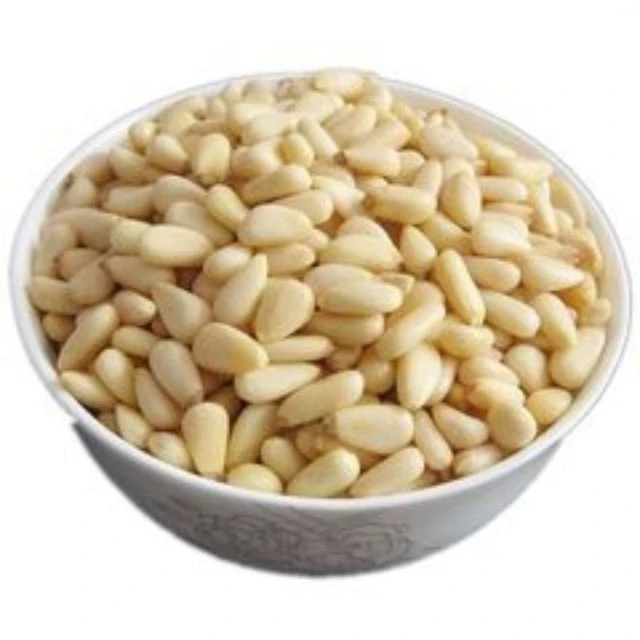 Top Quality Pine Nut / Pine Nut Kernels / Pine Nut For Sale At Good Price