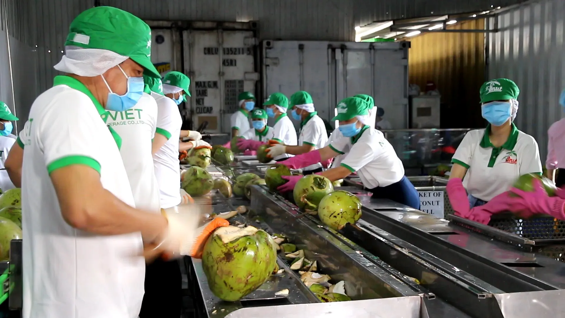 330 мл VINUT банка (луженая) Кокосовая Вода с персиком OEM сервисные заводы 100% чистый низкоуглеродистый Халяль сертифицирован Вьетнам