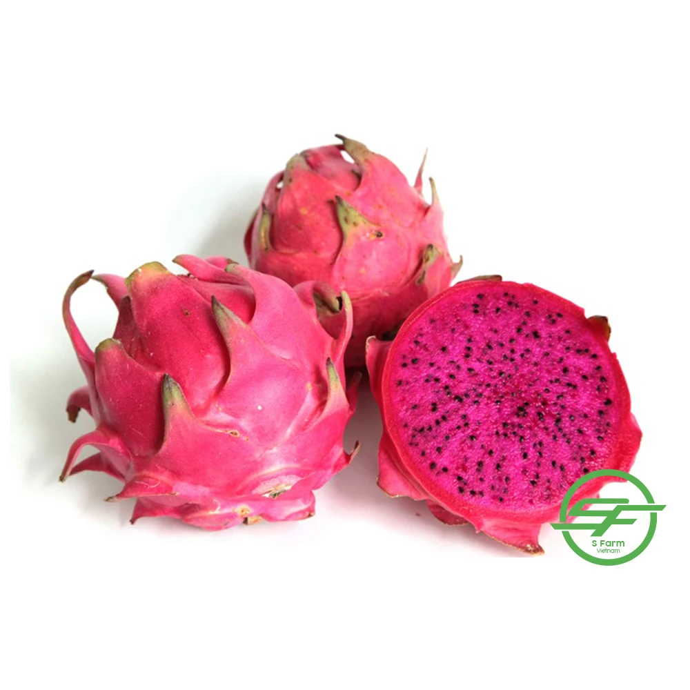 Fresh White Dragon Fruit from Vietnam with standard quality and best price high quality for export White flesh ready to shipping