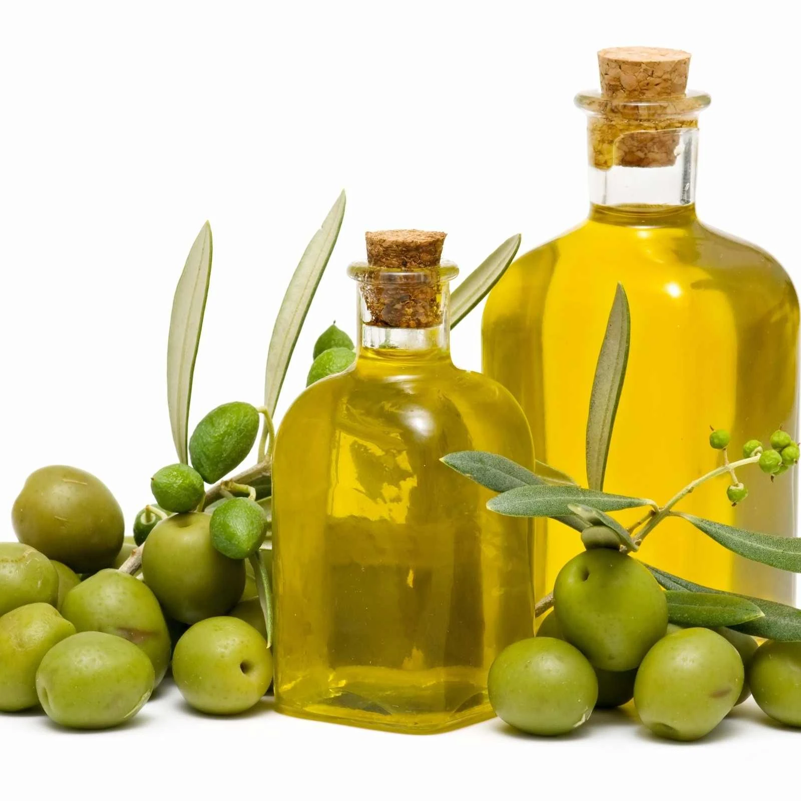 Factory bulk price olive oil OEM brand