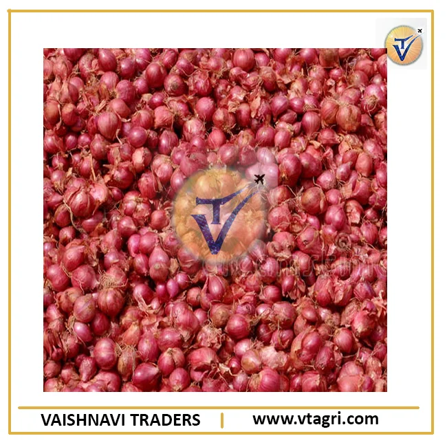 Свежий красный лук-шалот 25 мм + | шалот