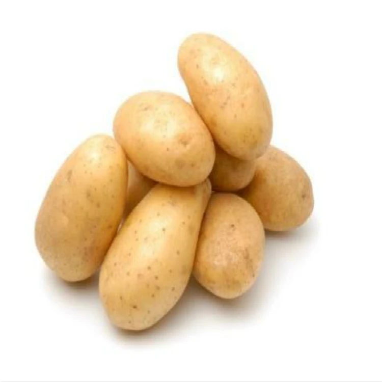 Fresh Potato Vegetable Export wholesale High Quality