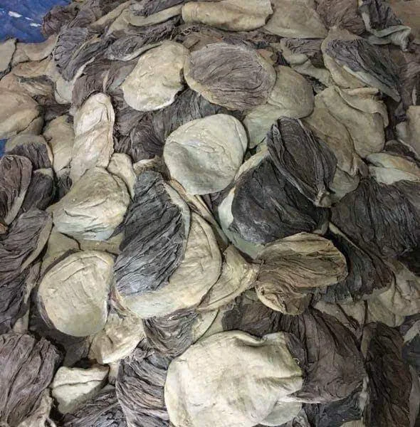 Dried Salted beef omasum