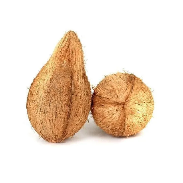 Delicious Nutritious & Organic semi husked coconut buyers and suppliers manufacturers traders from india