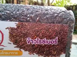  Качественные Твердые пеллеты кассавы тапиока из