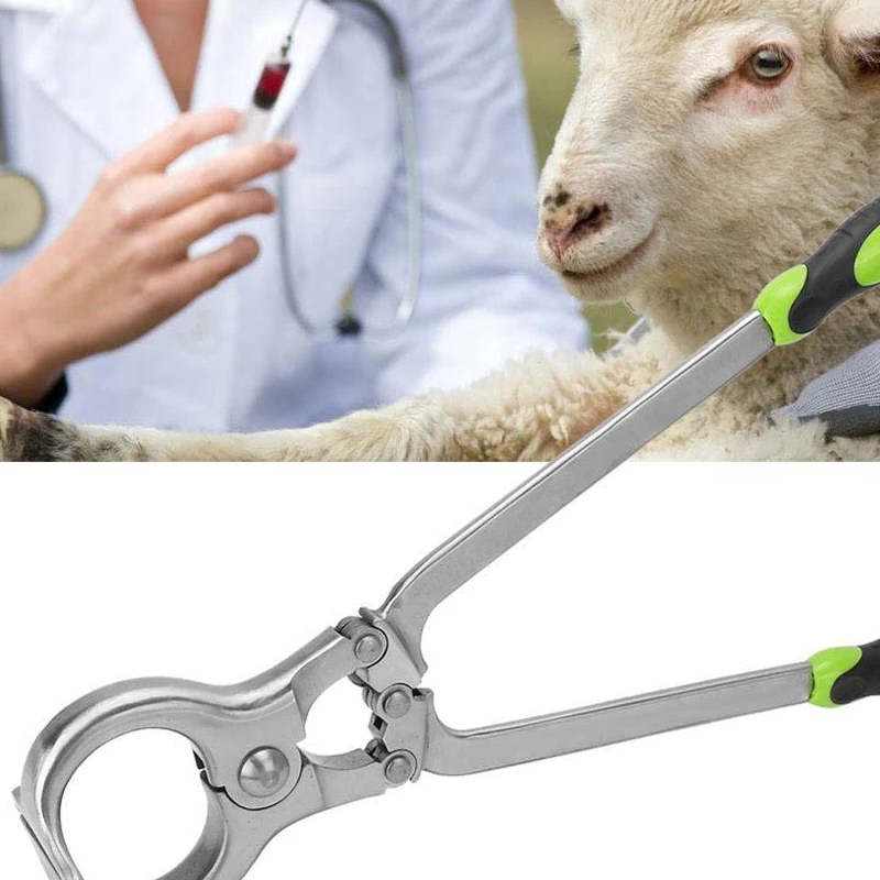 Castration Plier Tool Veterinary Instrument Farm Accessories Non-Slip Cover, Durable Sheep Castrator Instruments