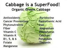 Лидер продаж капуста для экспортной поставки вкусные свежие зеленые овощи нового сезона во Вьетнаме // Ms