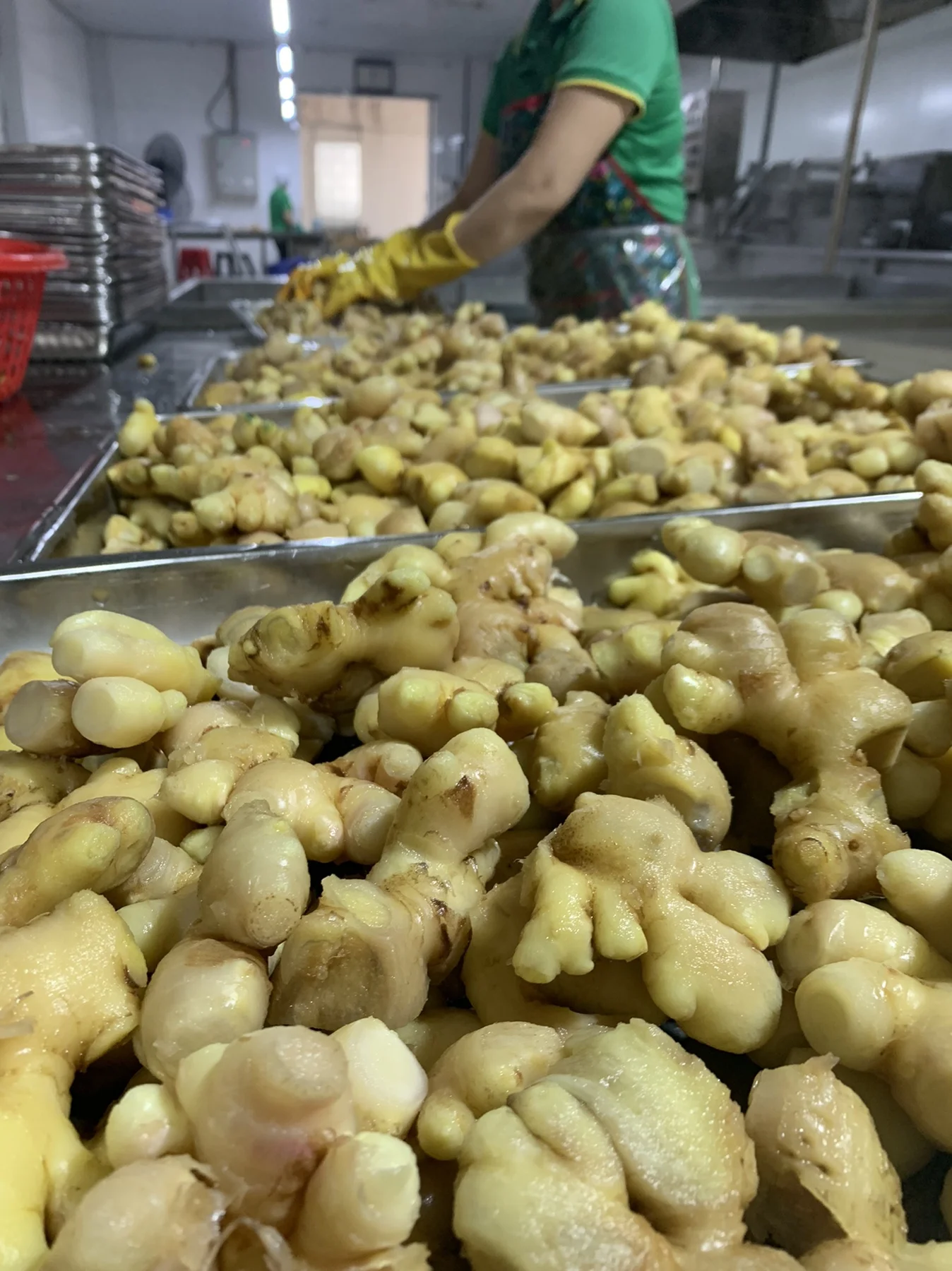 Top Selling Frozen Ginger Export from Vietnam for Ginger buyer with Special price produce single spices & herbs and spice set