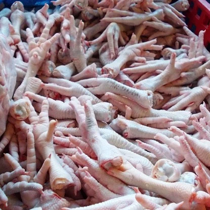 Chicken Feet / Frozen Chicken Paws Brazil / Fresh chicken wings and foot