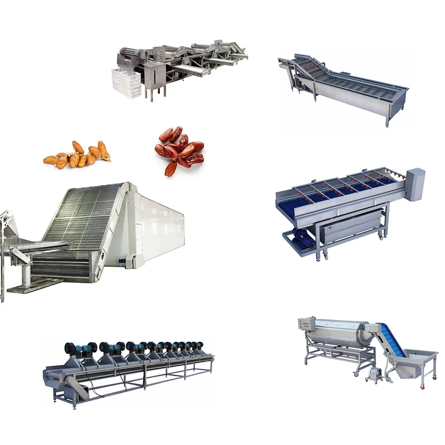 20 to 85  tons /24 hrs  palm dates washing drying  machine  for industrial dates washing sorting drying production