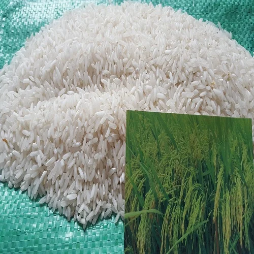 Высококачественный 5% сломанный вьетнамский длинный зернистый рис с новым урожаем