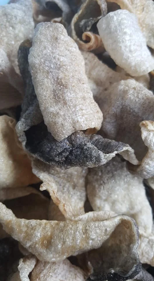 FRIED FISH SKIN HIGH QUALITY / SALMON FISH SKIN FROM VIETNAM / Ms.Thi Nguyen +84 988872713