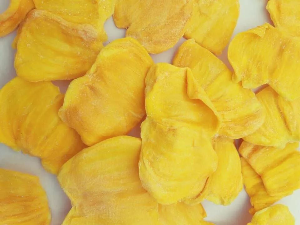 Made in Vietnam	dried fruit wholesalers Soft Dried Fruits Mango Soft Dried Fruits