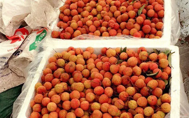 Свежий сладкий личи новый урожай 2021 натуральный