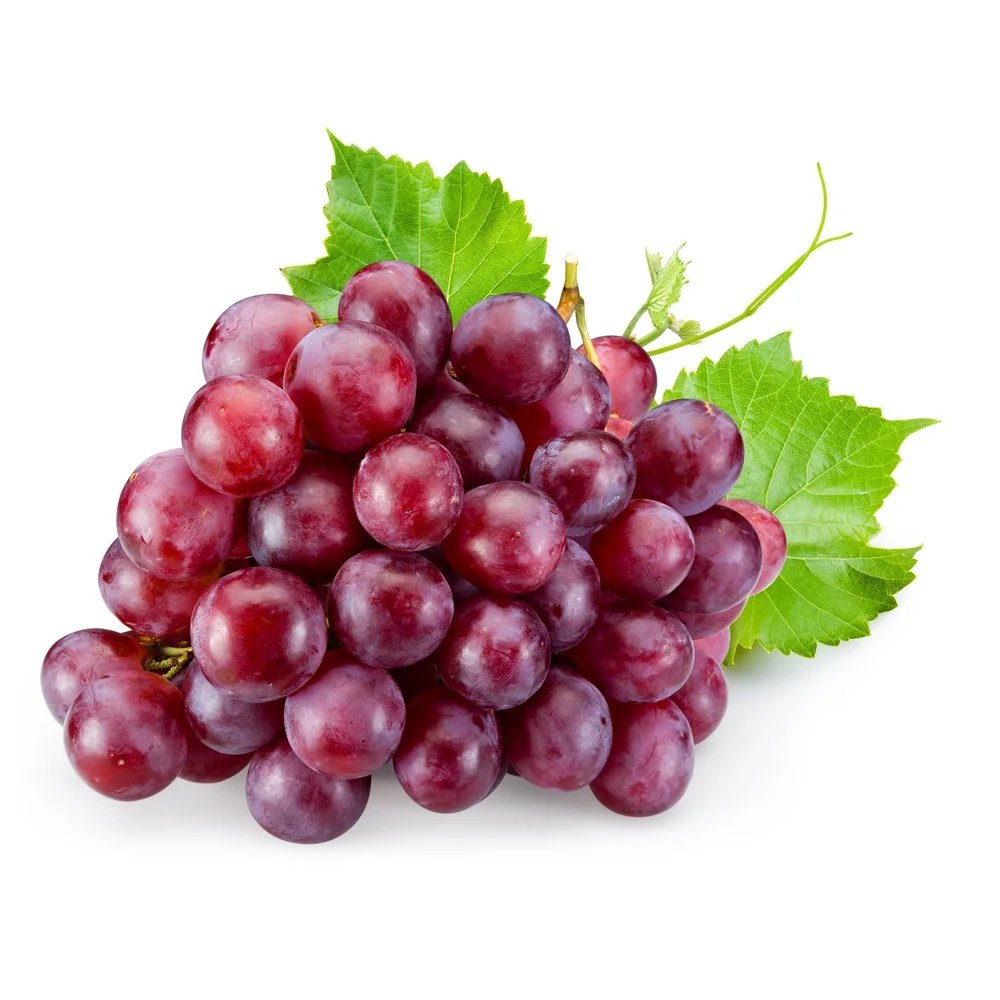 
Sweet Shine Green Grapes / Black Grapes / Red Grapes for Wholesale 100% Natural Seedless Grape Fresh COMMON Cultivation from AU 