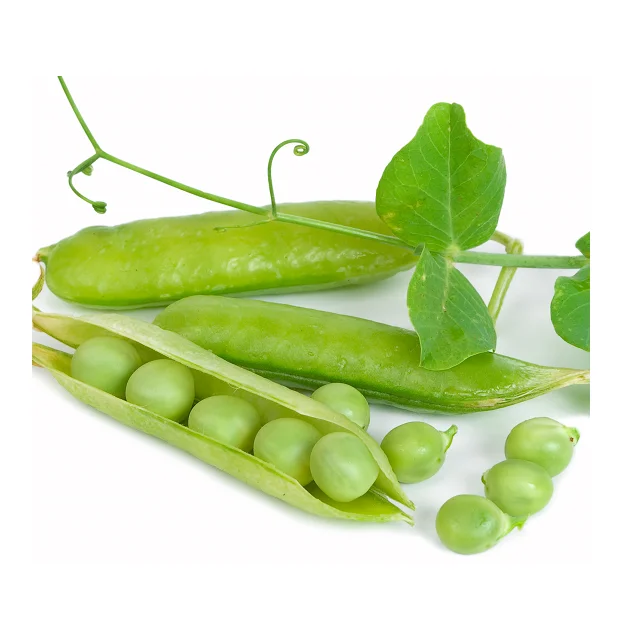 
Premium Quality Fresh And Organic Peas In Highly Affordable Prices 