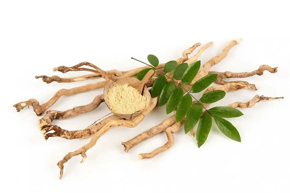 TONGKAT ALI DRY - Eurycoma Longifolia Ms Holiday +84-845-639-639