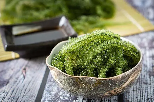 Very reasonable prices and high quality Natural Seaweed from Viet Nam