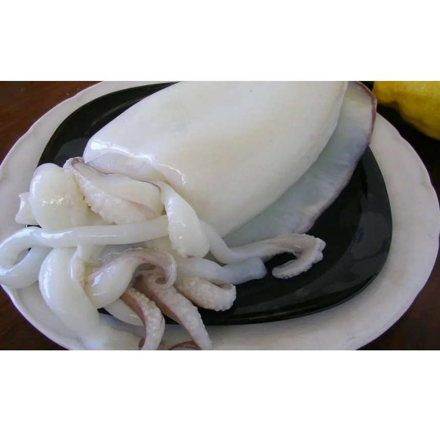Wholesale Fresh Natural Frozen Seafood Food Nutritious Organic Big and White Cuttlefish From Private Label In Vietnam