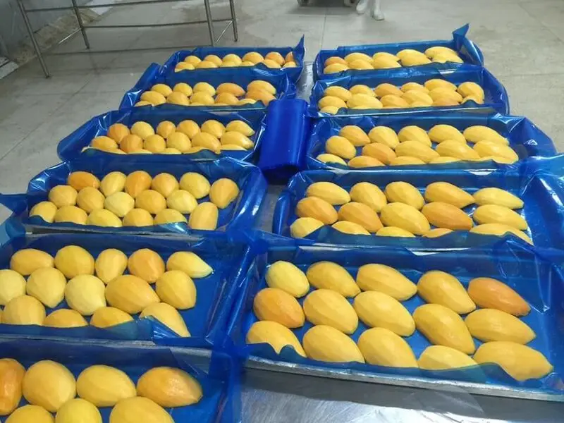BEST QUALITY FROZEN MANGO IN SEASON -COMPETITIVE PRICE