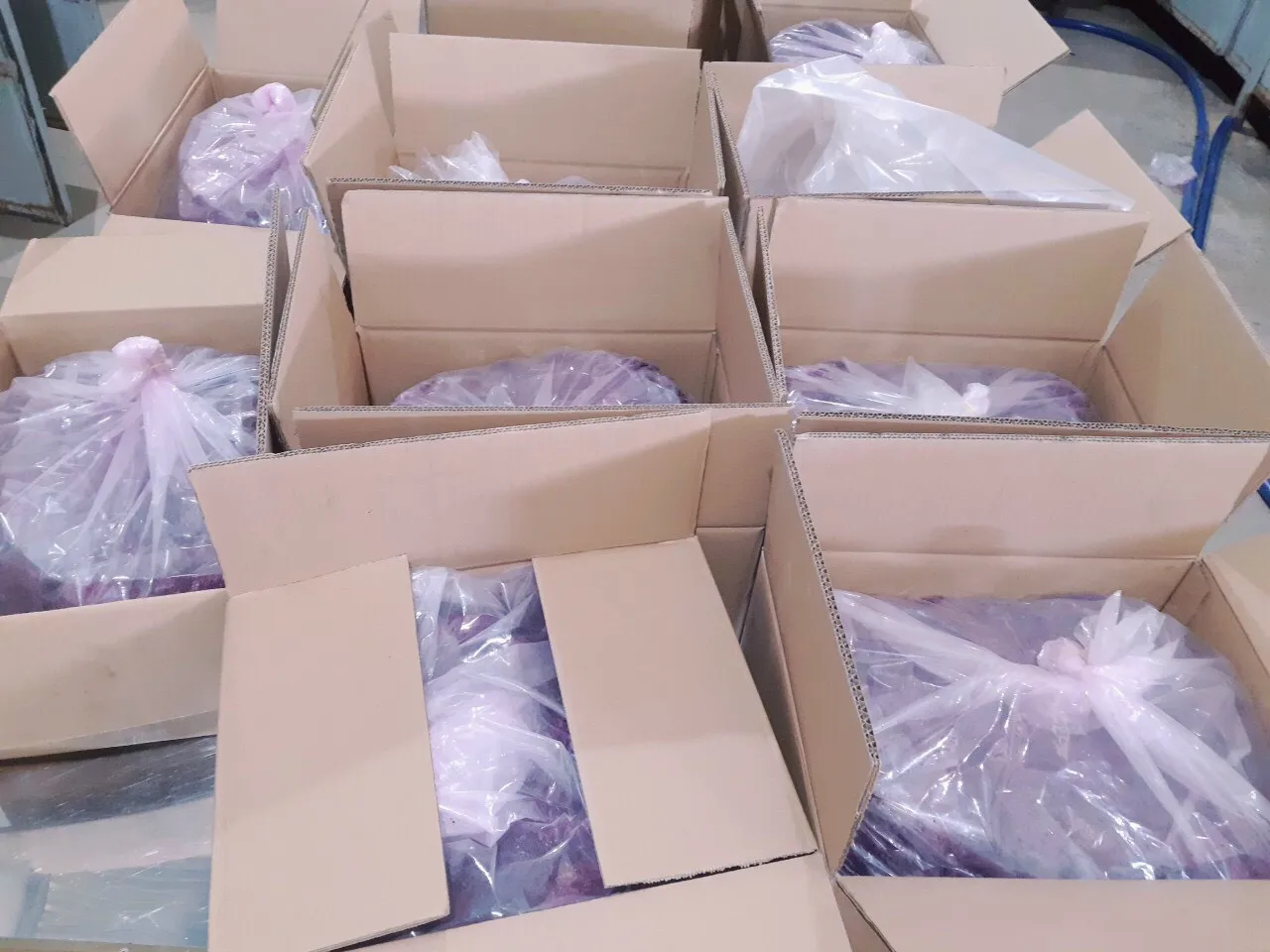 Made in Vietnam	dried fruit wholesalers Soft Dried Fruits Mango Soft Dried Fruits