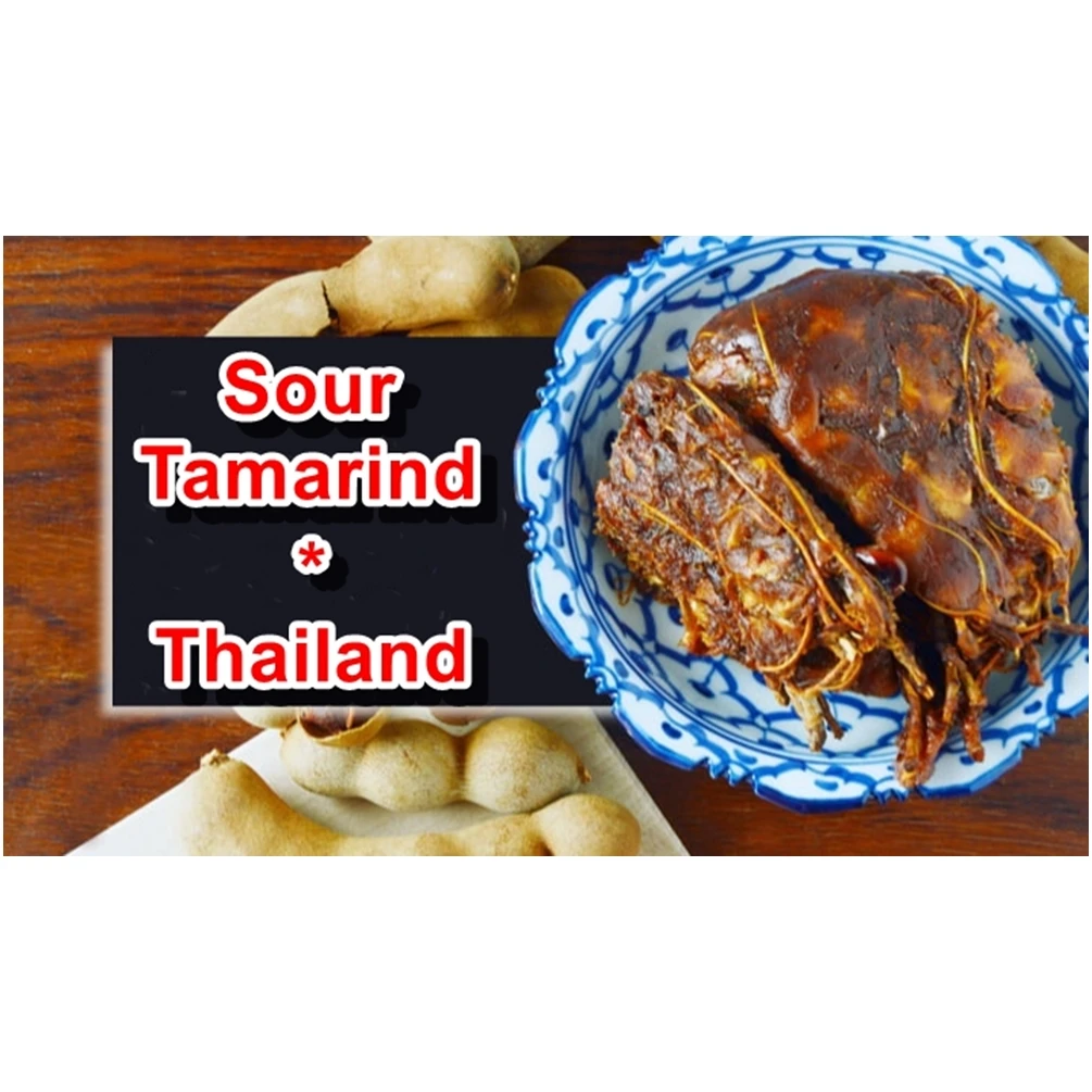 Sour Tamarind Paste Premium Quality tamarind seedless for food and Cosmetics No Chemical Tamarind export Product of Thailand