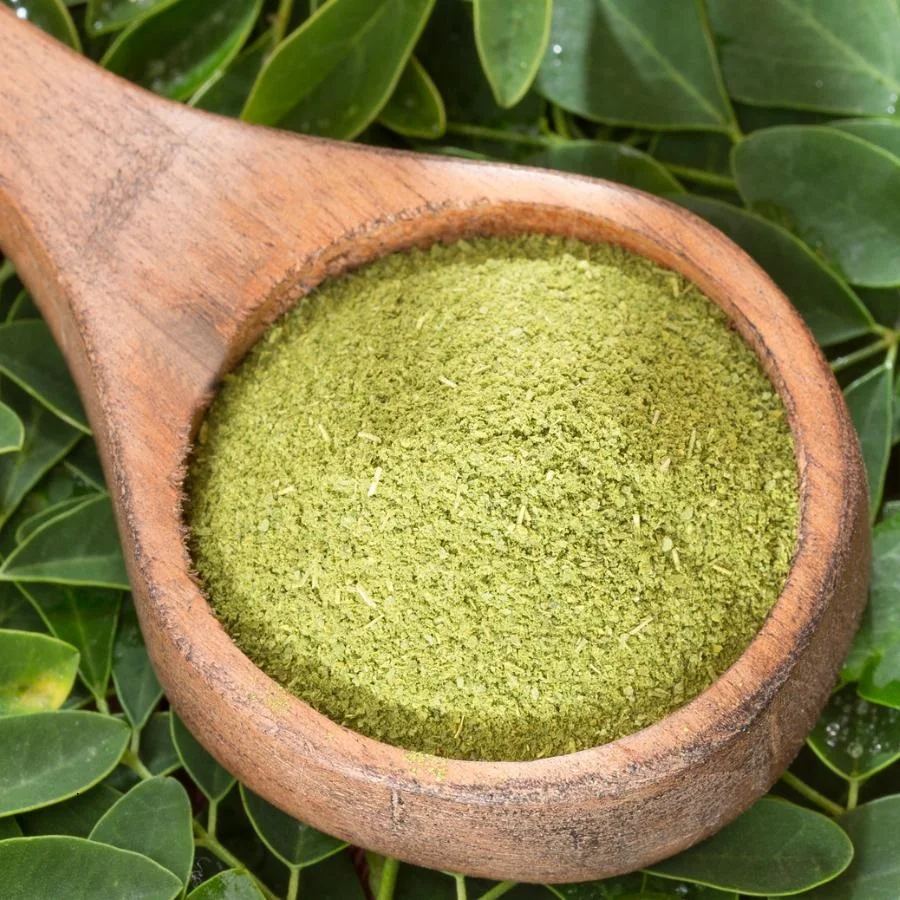 
100% Organic Moringa Leaf Extract Powder Dry Moringa Leaves Powder For Health From Bangladesh 