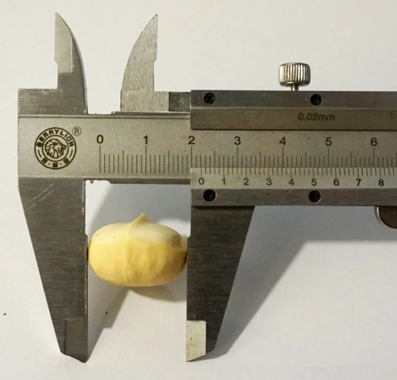 
Macadamia kernel 15-20mm 