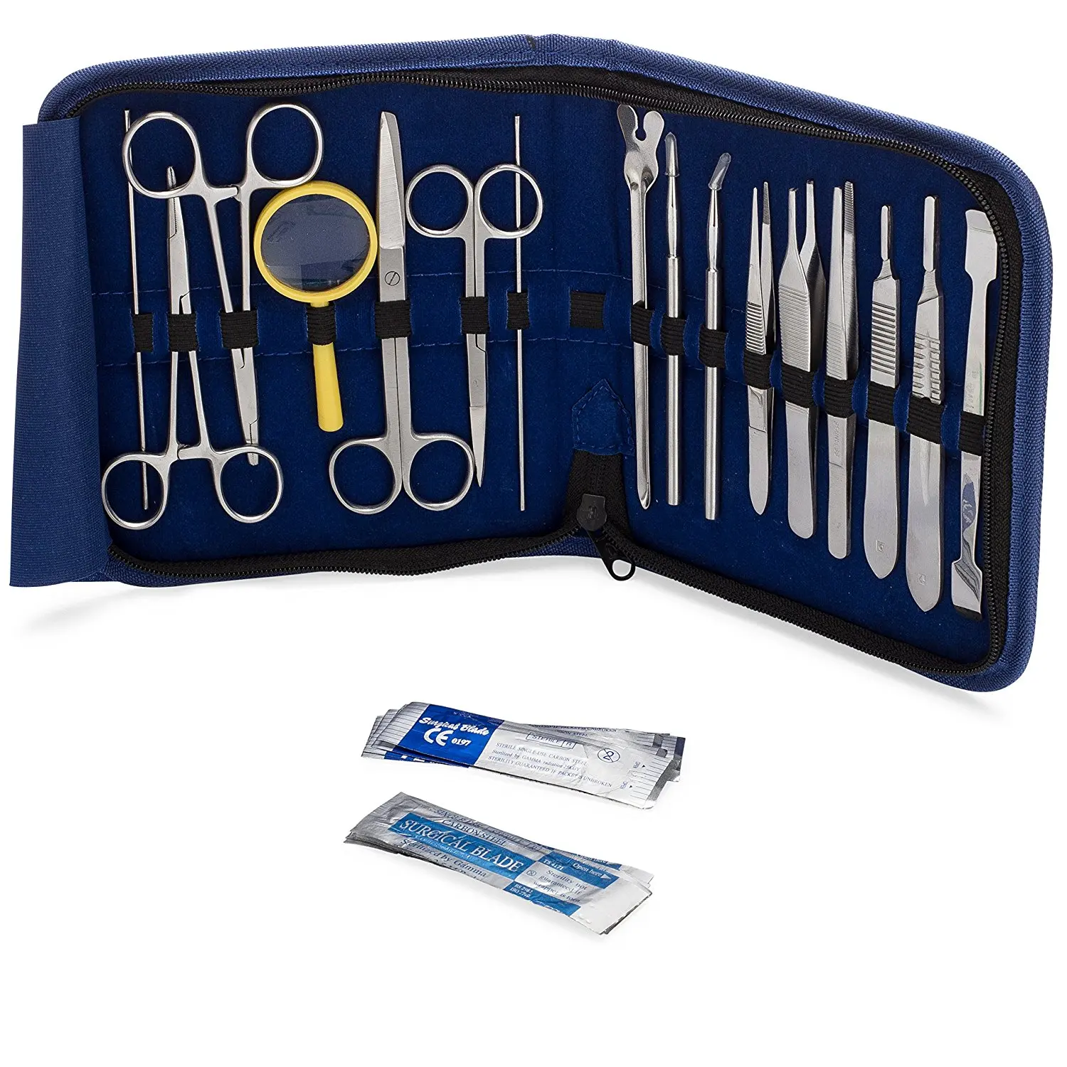 Набор для разделения лягушек чрезвычайно подходит практики студентов-медсестер включая каждый основополагающий