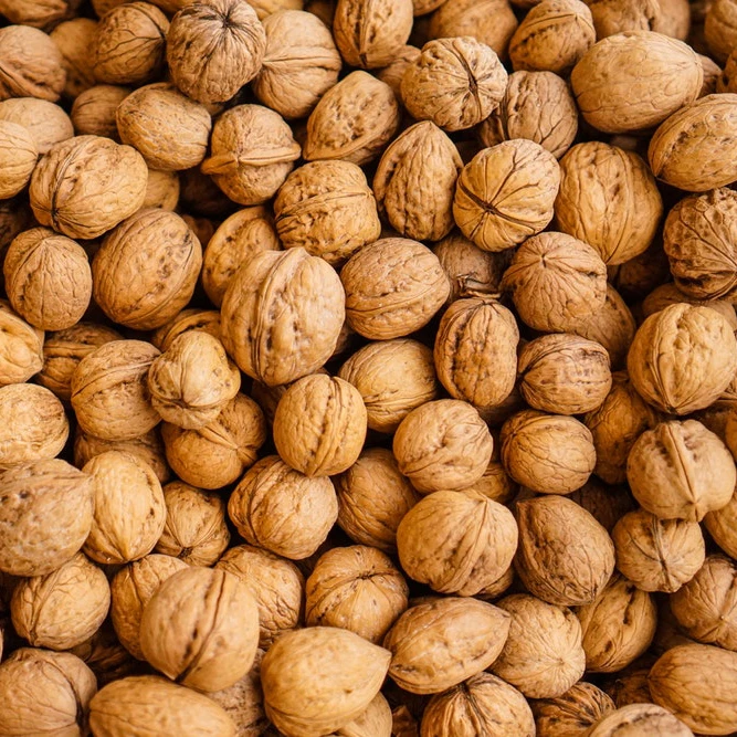 Top Grade Best Price Manufacturer Walnut Kernel / Walnut Without Shell