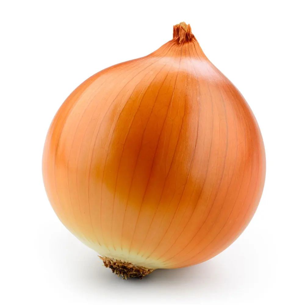 Hot Sale Factory Direct Supply Cheap Price Pakistan Best Made Fresh Vegetable Red Onion / Fresh Red Onions Export Quality