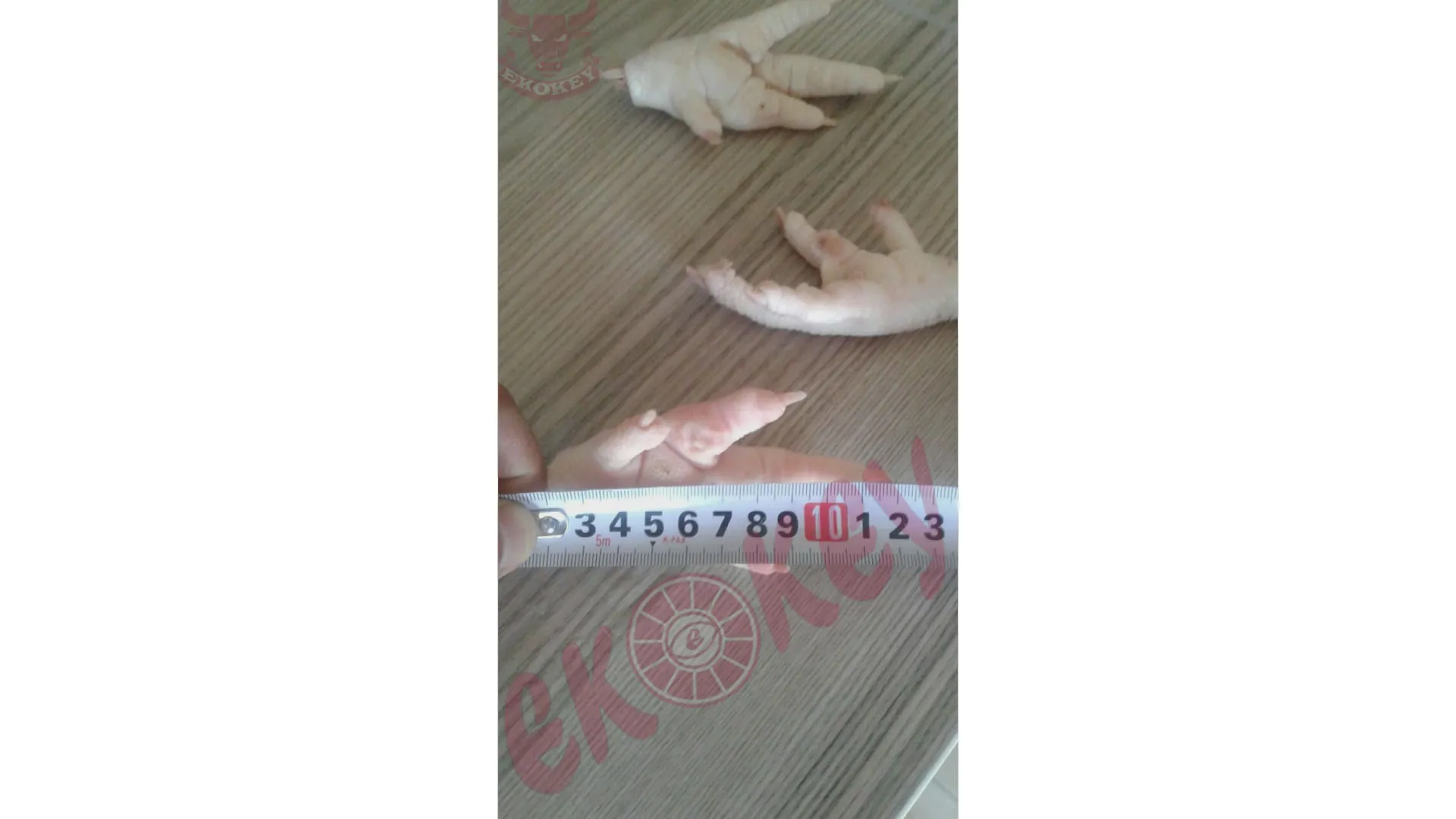 FROZEN CHICKEN PAWS JUMBO SIZE  FRESH FROZEN ALL CLEAN  AA   GRADE  39-48  G 20 KG CARTONS