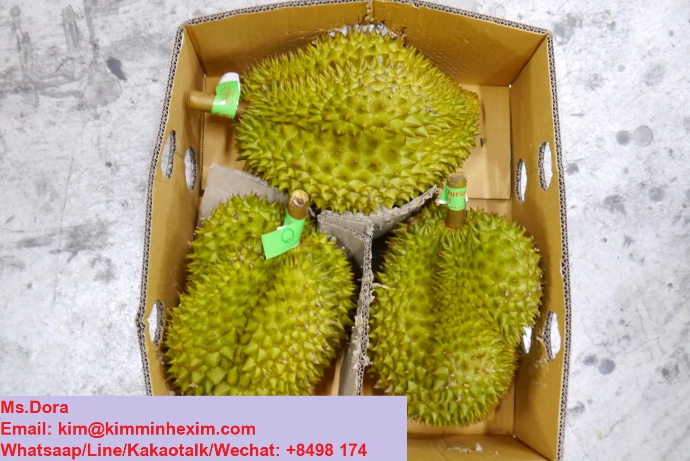 Top Selling 2022 HIGH QUALITY FRESH DURIAN FRUIT WITH COMPETITIVE PRICE FROM VIETNAM