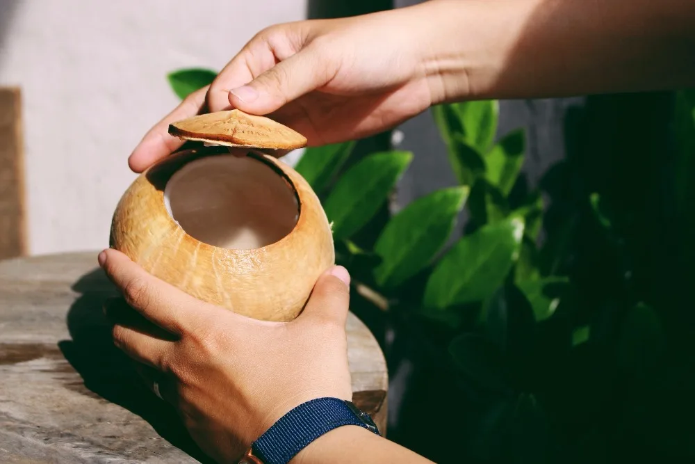 Vietnam 100% BENTRE FRESH WHOLE COCONUT WATER