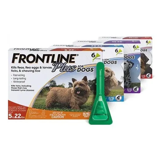 Direct Supplier Of High Quality Frontline Plus Flea & Tick Treatment for Dogs (Small Dogs 5-22 Pounds) Wholesale Price