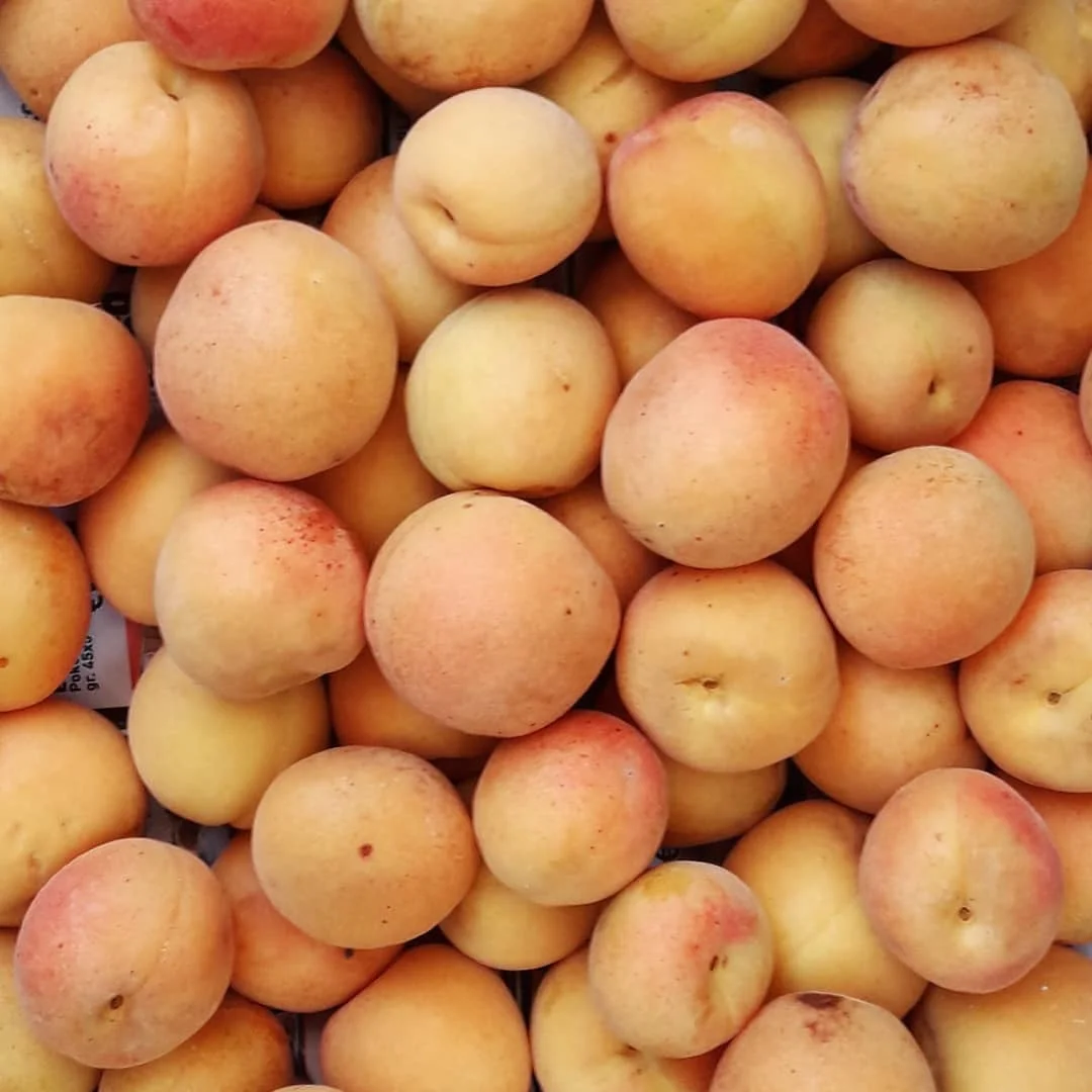 
Best Quality Fresh Apricots on sale 