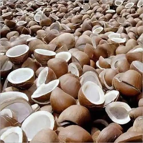 
Vietnam Export Products Organic Fresh Coconut Chips Shredded Desiccated Coconut for Making Coconut Flour 